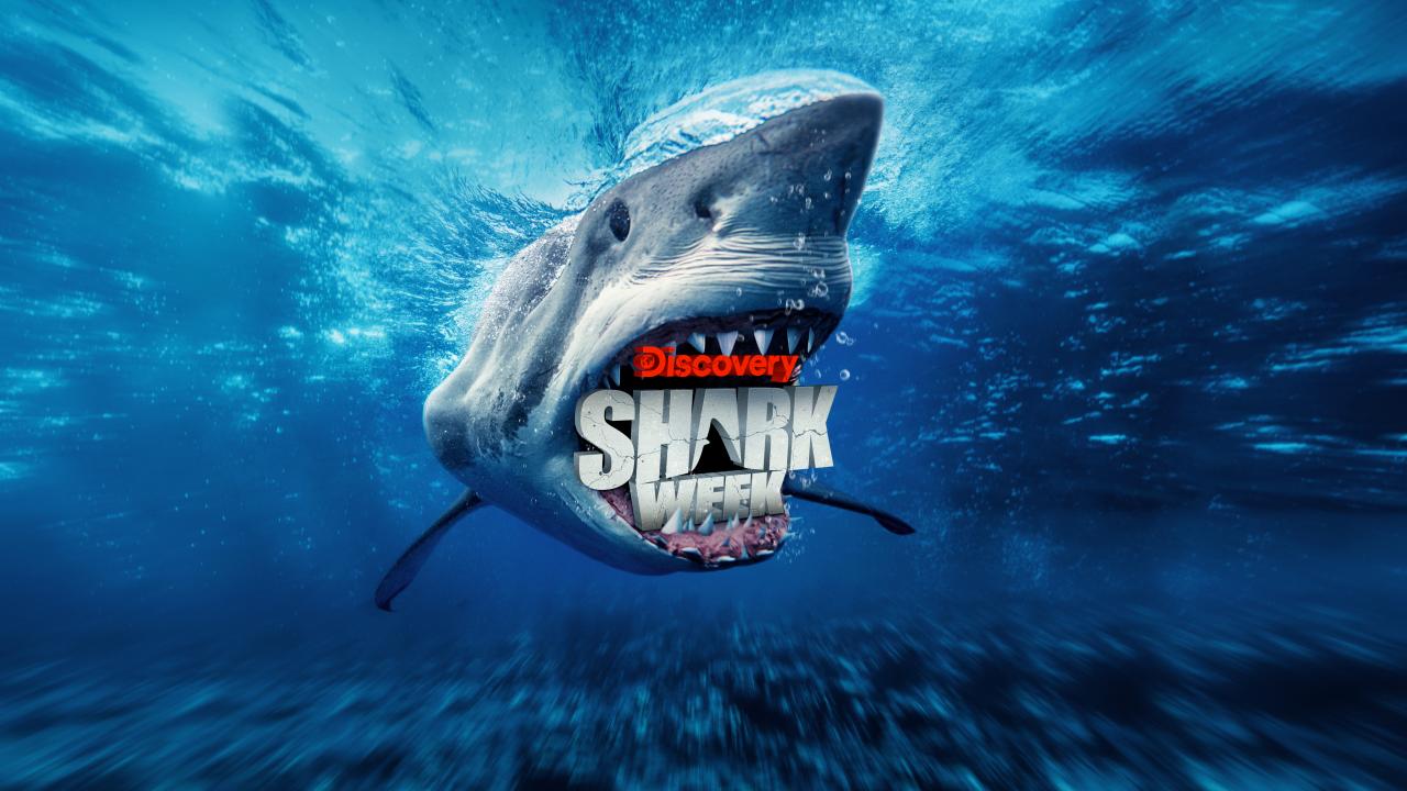 Ultimate Fan Guide to Shark Week