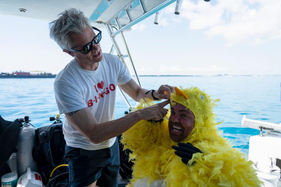 Stream Jackass Shark Week 2.0 on discovery+ The Latest Shark Week 2024 News on Discovery