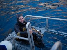 SW22: JAWS VS KRAKEN