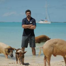 Austin Gallagher on Pig Beach with Pigs.