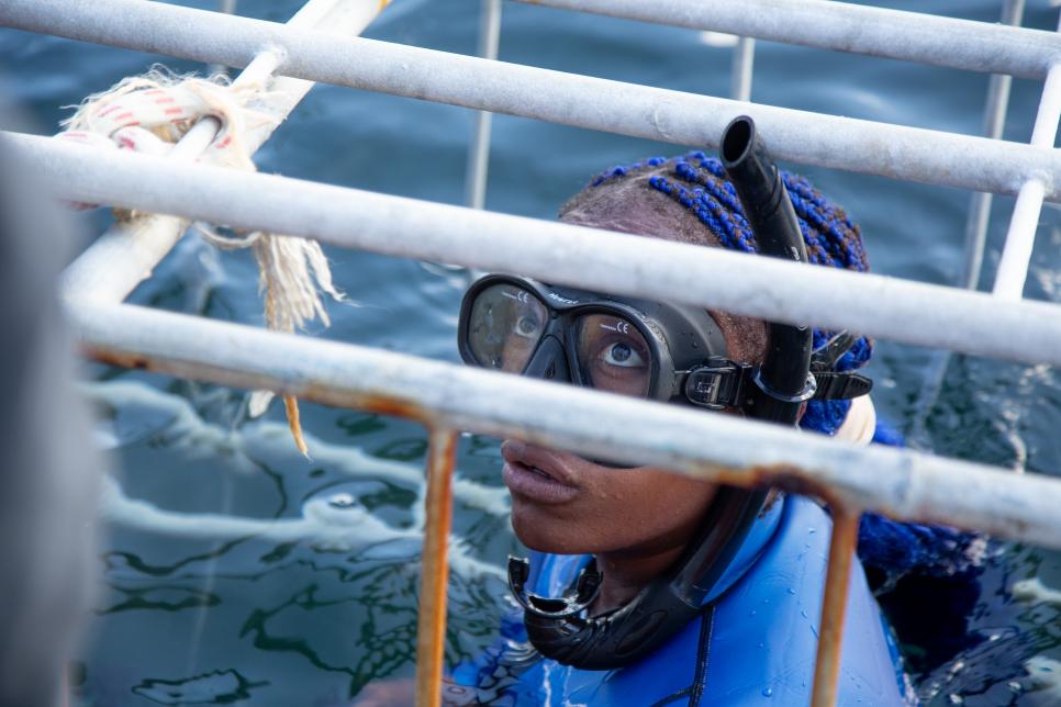SHARK WOMEN: GHOSTED BY GREAT WHITES