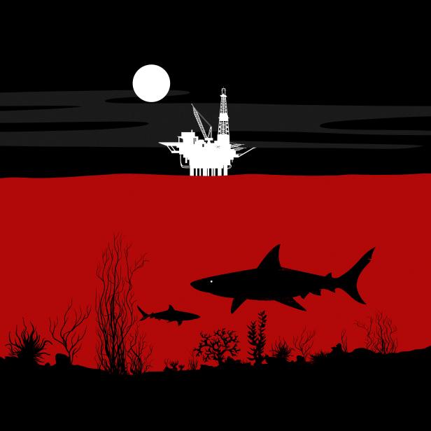 The Haunting of Shark Tower Discovery