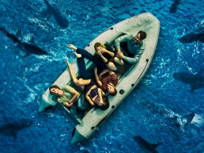 animal planet shark rescue transport