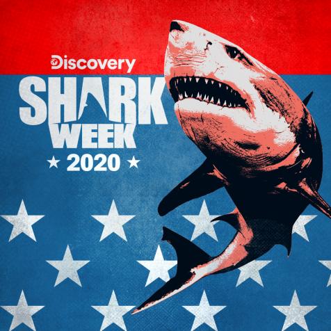 Discovery Releases Full Shark Week Schedule For 2020 Dnews Discovery