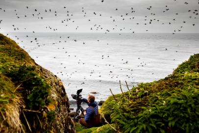 6 Reasons Why Alaska's Aleutian Islands Are A Hot Spot For Sea Life