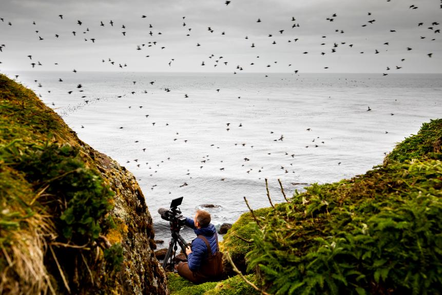 Alaska Maritime National Wildlife Refuge, Aleutian Islands, Alaska: Host of The Last Unknown, Ian Shive, films seabirds (auklets) at Buldir Island.