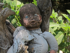 There's just something really thrilling about a place with a dark and mysterious past. Take La Isla de las Muñecas, for example. An island covered with decaying old dolls strung up in trees is pretty creepy on its own — even before you get to the dark origin story.