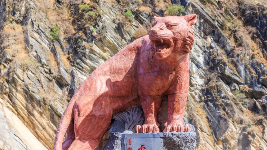 Tiger Sculpture at Tiger Leaping Gorge, Shangri-La, Yunnan province, China