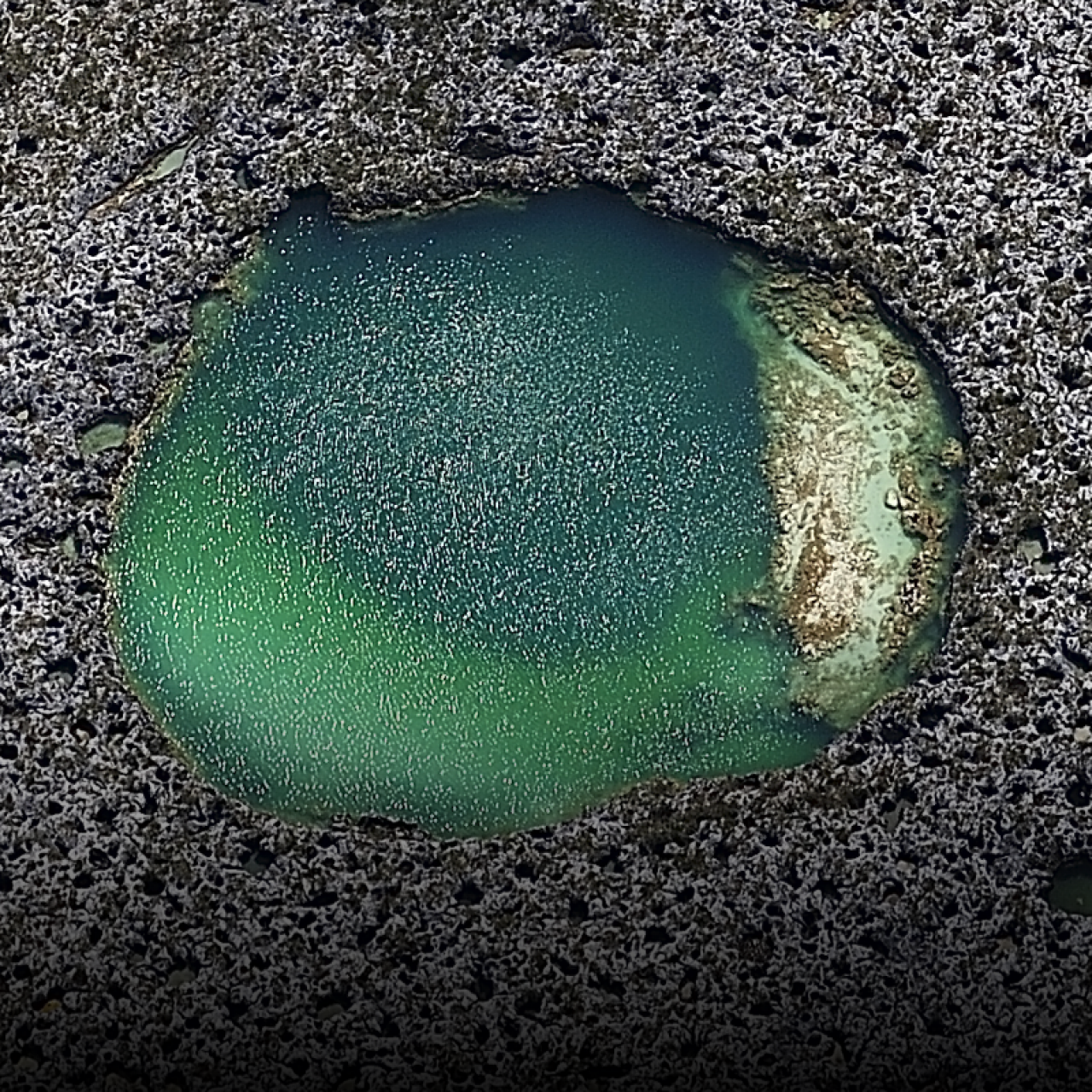 Researchers Discover Massive 900-Feet-Deep Blue Hole In Mexico