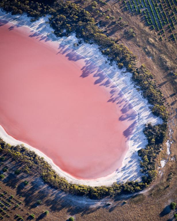 Discovery Why Australia Has Bubblegum Pink Lakes Latest