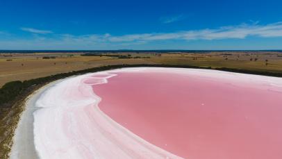 Discovery Why Australia Has Bubblegum Pink Lakes