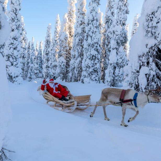 Santa Claus on reindeer sleigh, Ruka (Kuusamo), Northern Ostrobothnia region, Lapland, Finland