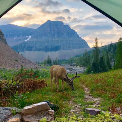 Best National Park Camping Sites in America