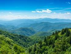 A view over the tops of trees to the Smoky Mountain range in Tennessee, USA.