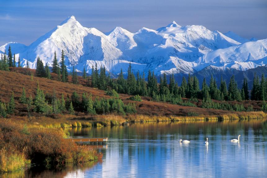The Alaska Range with Mount McKinley and Wonder Lake with Tundra swans (Cygnus columbianus) in the fall, Denali National Park, Alaska, USA. (Photo by: Arterra/Universal Images Group via Getty Images)
