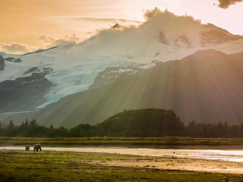 National Parks to Visit in Alaska