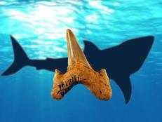 Megalodon, the biggest shark to have ever lived has a cousin Megalolamna. It is, however, unclear whether this creature even existed.