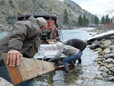 These homesteaders must rely on themselves, the help of their neighbors and a seasoned set of survival skills to survive in this remote wilderness.