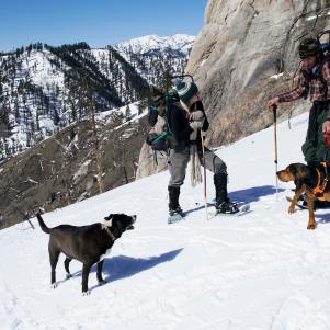 Aubrey Barton and Pete Metz with their dogs, Hamms and Hildie, talking on the mountain.