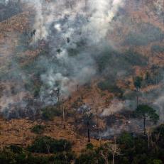 Aerial view showing smoke billowing from a patch of forest being cleared with fire in the surroundings of Boca do Acre, a city in Amazonas State, in the Amazon basin in northwestern Brazil, on August 24, 2019. - Brazil on August 25 deployed two Hercules C-130 aircraft to douse fires devouring parts of the Amazon rainforest. The latest official figures show 79,513 forest fires have been recorded in the country this year, the highest number of any year since 2013. More than half of those are in the massive Amazon basin. Experts say increased land clearing during the months-long dry season to make way for crops or grazing has aggravated the problem this year. (Photo by LULA SAMPAIO / AFP)        (Photo credit should read LULA SAMPAIO/AFP/Getty Images)