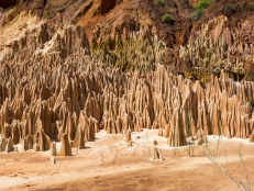The African country of Madagascar boasts plenty of wildlife, but it also features the world's largest stone forest. Some of the limestone peaks reach as high as 2,600 feet, and the nature reserve is home to several unique endangered plants and animals including lemurs.