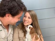 Bindi Irwin and Chandler Powell rang in the new year with a new furry family member, a puppy named Piggy.