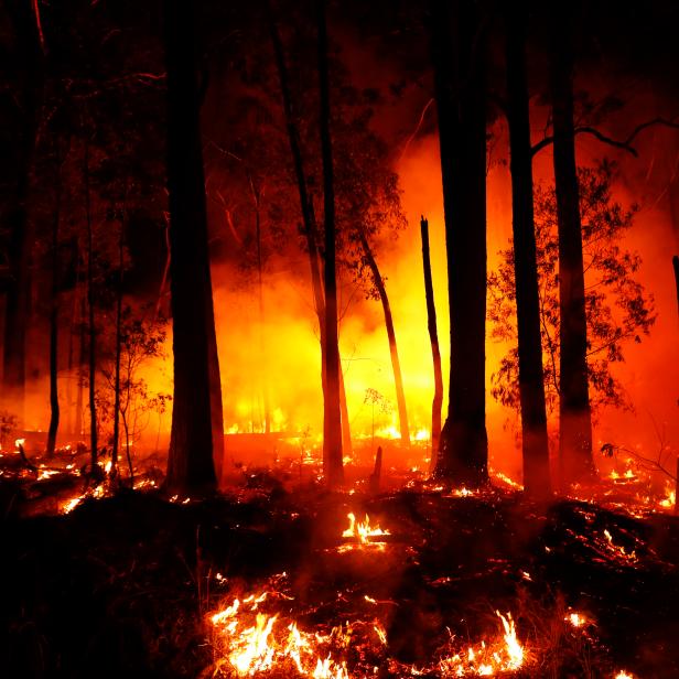 MALLACOOTA, AUSTRALIA - JANUARY 02: Bushfires are seen between the towns of Orbost and Lakes Entrance in east Gippsland on January 02, 2020 in Australia. The HMAS Choules docked outside of Mallacoota this morning to evacuate thousands of people stranded in the remote coastal town following fires across East Gippsland which have killed one person and destroyed dozens of properties. (Photo by Darrian Traynor/Getty Images)