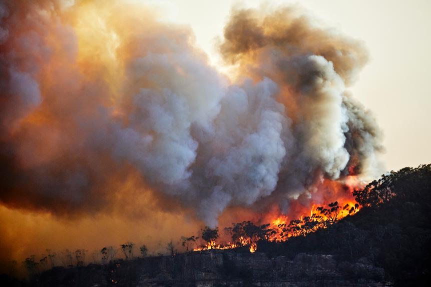 Out of control fire on Narrow Neck Plateau, Katoomba, Blue Mountains, Australia. Climate change is causing extreme weather, prolonged droughts and increasing bushfires