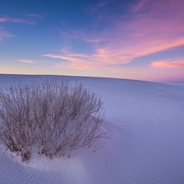 White Sands National Monument, New Mexico. (Photo by: Greg Vaughn /VW PICS/Universal Images Group via Getty Images)