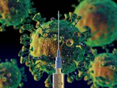 The development of a vaccine for COVID-19 has been a global all hands on deck initiative since the Coronavirus pandemic took hold of the world in early 2020. Recently two pharmaceutical giants-Pfizer and Moderna- have announced successful ongoing trials.

﻿Updated: November 18, 2020