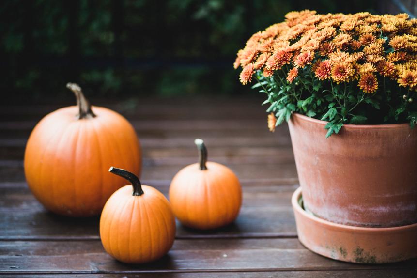 Event, decoration, Halloween, Holiday - Event, Pumpkin