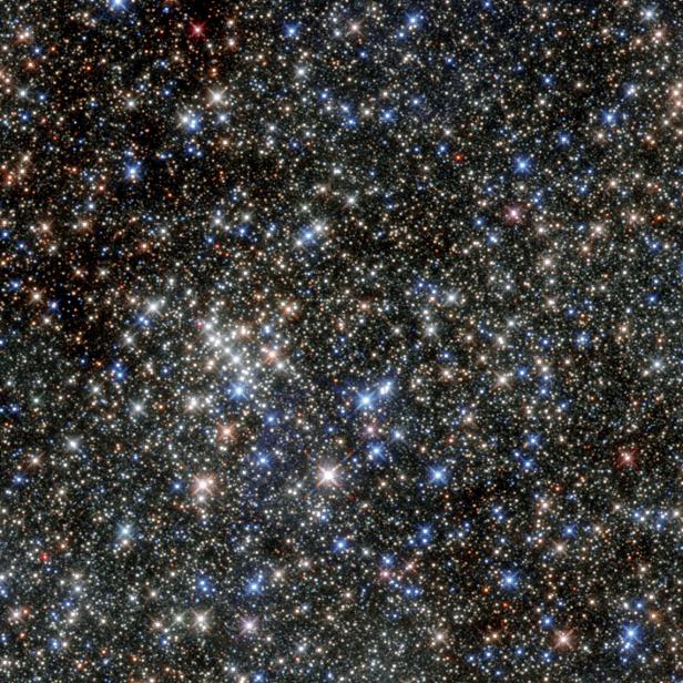 Although this cluster of stars gained its name due to its five brightest stars, it is home to hundreds more. The huge number of massive young stars in the cluster is clearly captured in this NASA/ESA Hubble Space Telescope image. The cluster is located close to the Arches Cluster and is just 100 light-years from the centre of our galaxy. The cluster’s proximity to the dust at the centre of the galaxy means that much of its visible light is blocked, which helped to keep the cluster unknown until its discovery in 1990, when it was revealed by observations in the infrared. Infrared images of the cluster, like the one shown here, allow us to see through the obscuring dust to the hot stars in the cluster. The Quintuplet Cluster hosts two extremely rare luminous blue variable stars: the Pistol Star and the lesser known V4650 Sgr. If you were to draw a line horizontally through the centre of this image from left to right, you could see the Pistol Star hovering just above the line about one third of the way along it. The Pistol Star is one of the most luminous known stars in the Milky Way and takes its name from the shape of the Pistol Nebula that it illuminates, but which is not visible in this infrared image. The exact age and future of the Pistol Star are uncertain, but it is expected to end in a supernova or even a hypernova in one to three million years. The cluster also contains a number of red supergiants. These stars are among the largest in the galaxy and are burning their fuel at an incredible speed, meaning they will have a very short lifetime. Their presence suggests an average cluster age of nearly four million years. At the moment these stars are on the verge of exploding as supernovae. During their spectacular deaths they will release vast amounts of energy which, in turn, will heat the material — dust and gas — between the other stars. This observation shows the Quintuplet Cluster in the infrared and demonstrates the leap in Hubble’s performance sinc