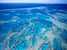 Great Barrier Reef, Queensland, Australia, Australasia