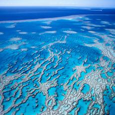 Great Barrier Reef, Queensland, Australia, Australasia
