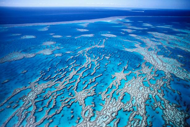 New Reef Discovery in Australia is a Once in a Century Find | Nature ...