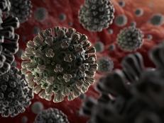 As the death tolls rise, Coronavirus is on the minds of people all over the world. Learn about this new virus and how we got here.

Originally published: 2/20/2020

Updated: 3/9/2020