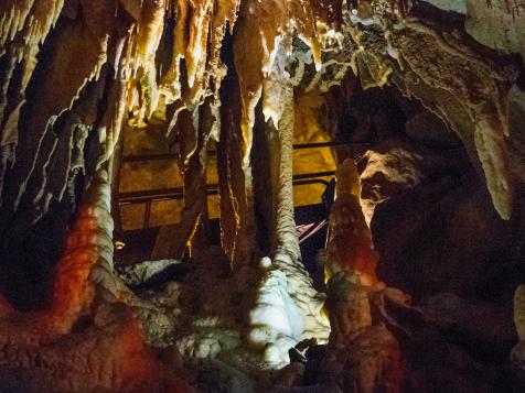 A 300 Million Year Old Shark Skull Was Discovered Inside Kentucky Cave