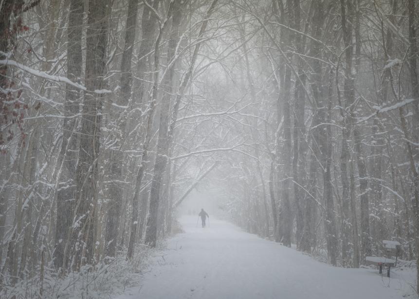View of trail in the woods and silhouette of cross-country skier on snowy winter day in Missouri, Midwest