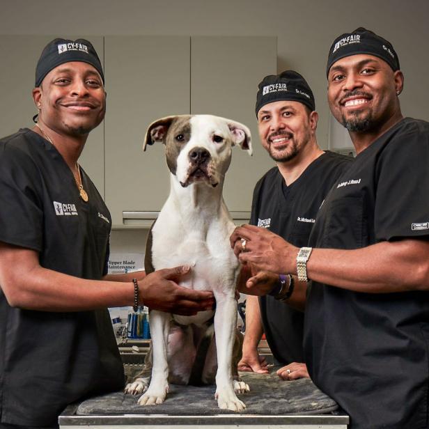 Drs Blue, Lavigne, and Ross with dog in exam room