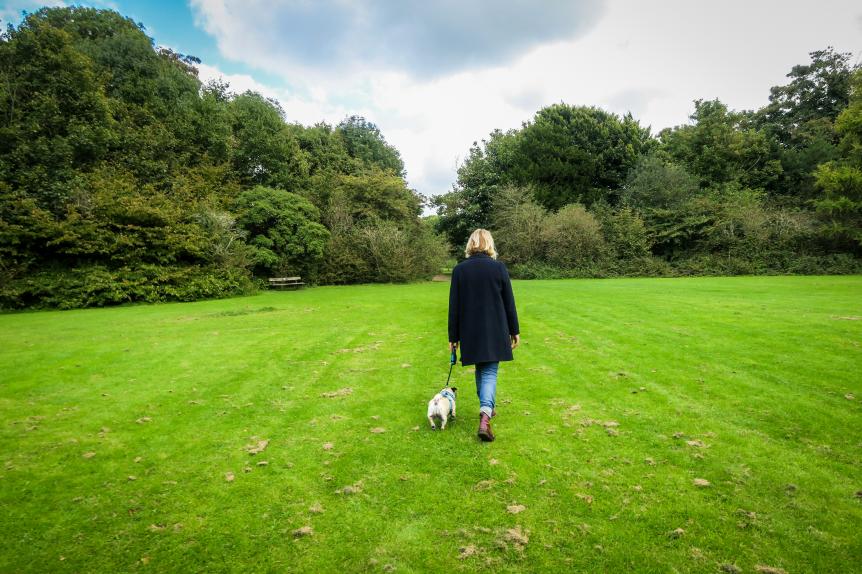 Rear view of mid adult blond lady taking her pet pug for a walk in public park