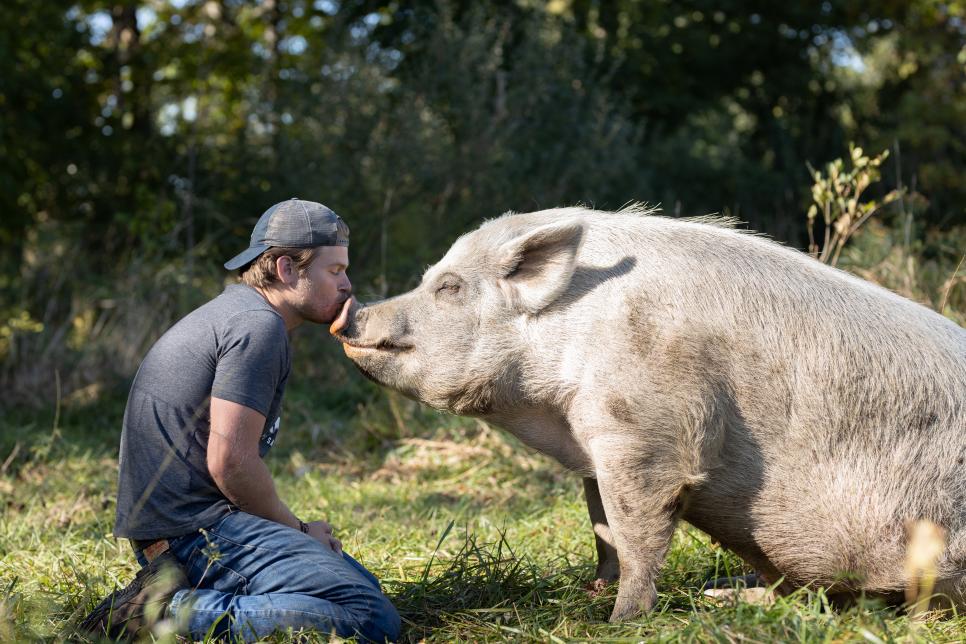 Meet the Rescued Residents of Saved by the Barn | Nature and Wildlife |  Discovery
