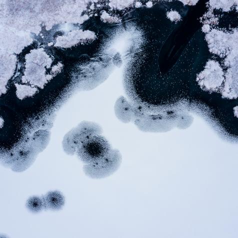 Aerial view that show a swamp and lake covered in frost and ice. This image was taken in a forest close to Drammen city, Norway.