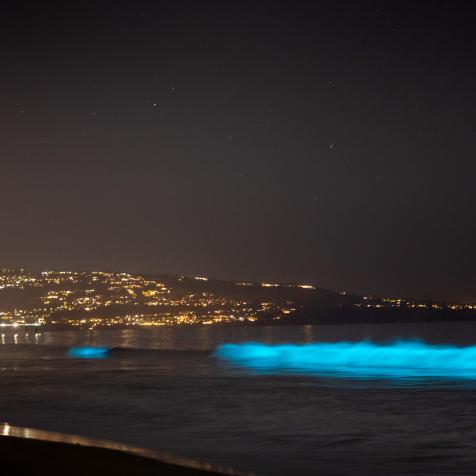 HERMOSA BEACH, CA - APRIL 25: Bioluminescent waves glow off the coast of Hermosa Beach, CA, Saturday, April 25, 2020. The phenomenon is associated with a red tide, or an algae bloom, filled with dinoflagellates which react with bioluminescence when jostled by the moving water. During the daytime, due to the pigmentation of the dinoflagellates, the water can turn a deep red, brown, or orange color, giving red tides their name.(Jay L. Clendenin / Los Angeles Times via Getty Images)