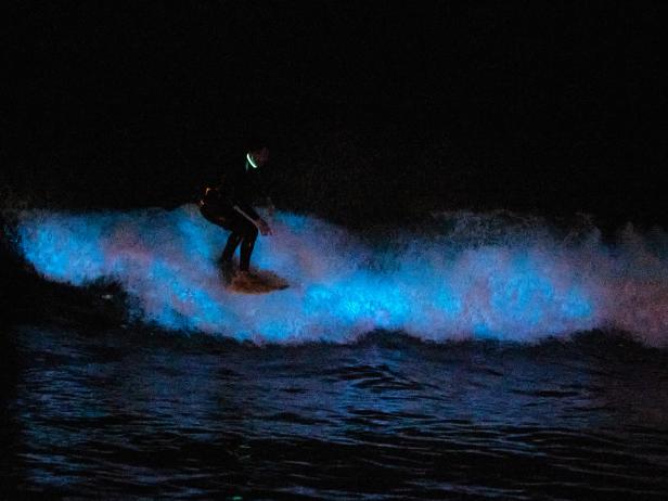 The California Coastline Is Glowing Afrom Baja To Los Angeles 