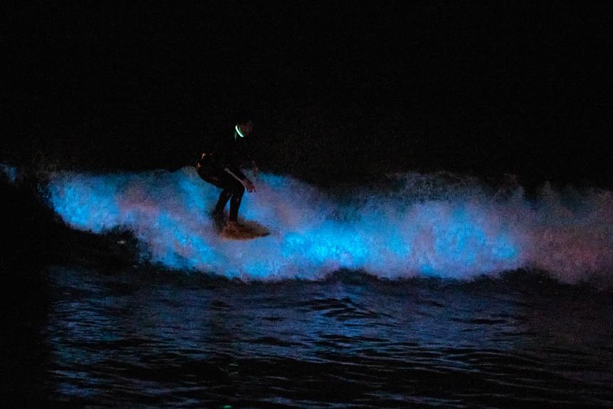 SAN CLEMENTE, CALIFORNIA - APRIL 30: A surfer rides on a bioluminescent wave at the San Clemente pier on April 30, 2020 in San Diego, California. 