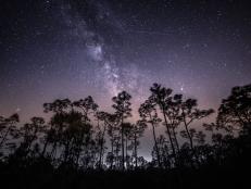 Just before the close of the seventh month each year, the Earth makes a trip through some comet debris to create the meteor showers. Look up and this year, you may be able to catch two very special meteor showers happening on the same night!!