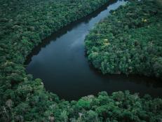 UNSPECIFIED - AUGUST 01: Aerial view of Amazon rainforest in Amazonas State, Venezuela (Photo by DeAgostini/Getty Images)