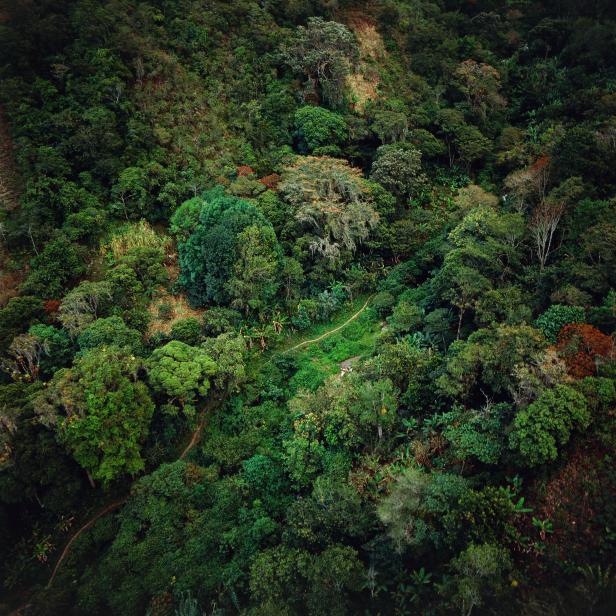 UNSPECIFIED - AUGUST 01: Aerial view of Amazon rainforest near Merida in Amazonas State, Venezuela (Photo by DeAgostini/Getty Images)