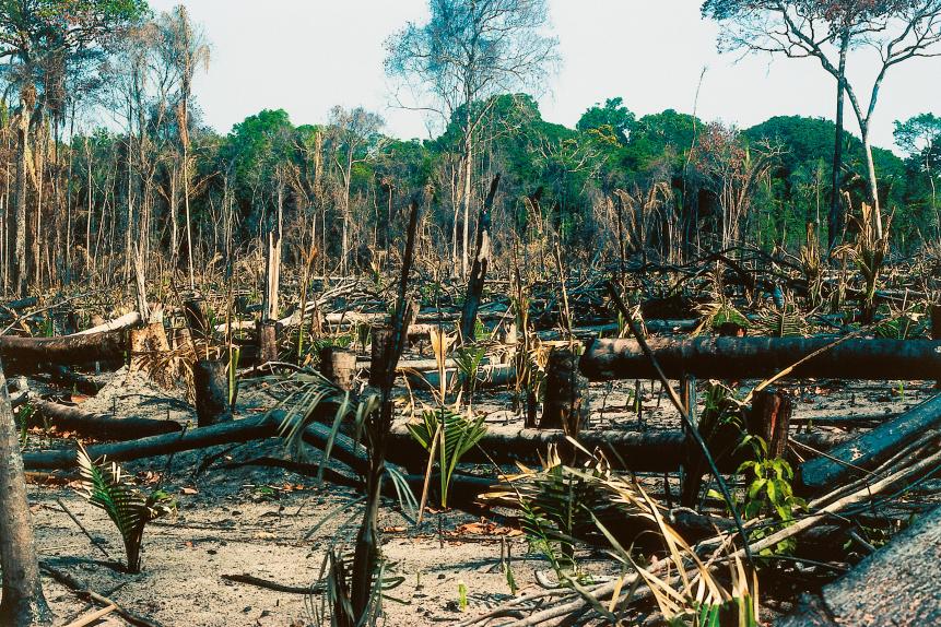 BRAZIL - APRIL 23: Deforestation in the Amazon rainforest, Brazil. (Photo by DeAgostini/Getty Images)