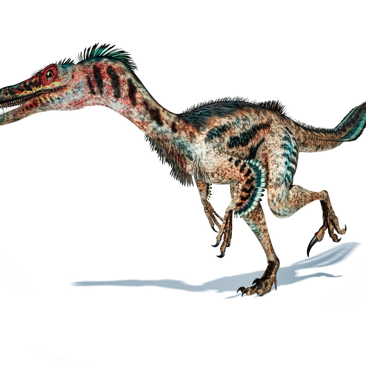 dinosaurs velociraptor